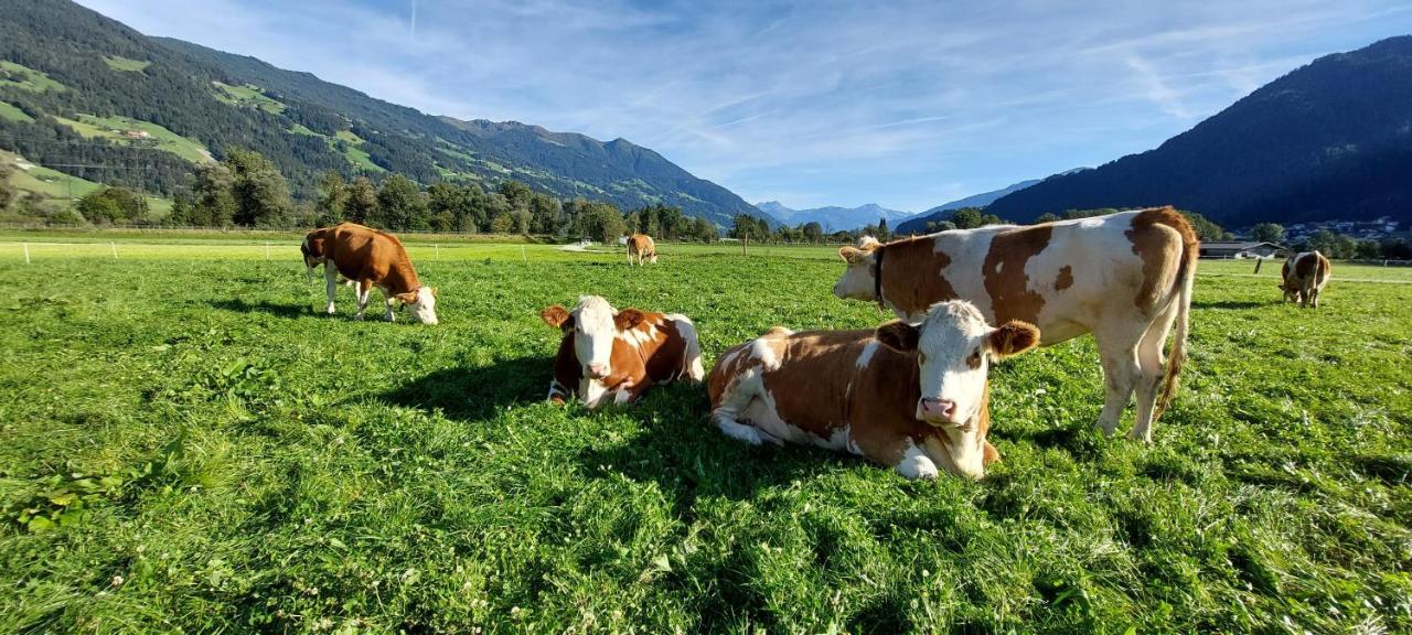 Hotel Brixnerhof Im Zillertal Schlitters Zewnętrze zdjęcie