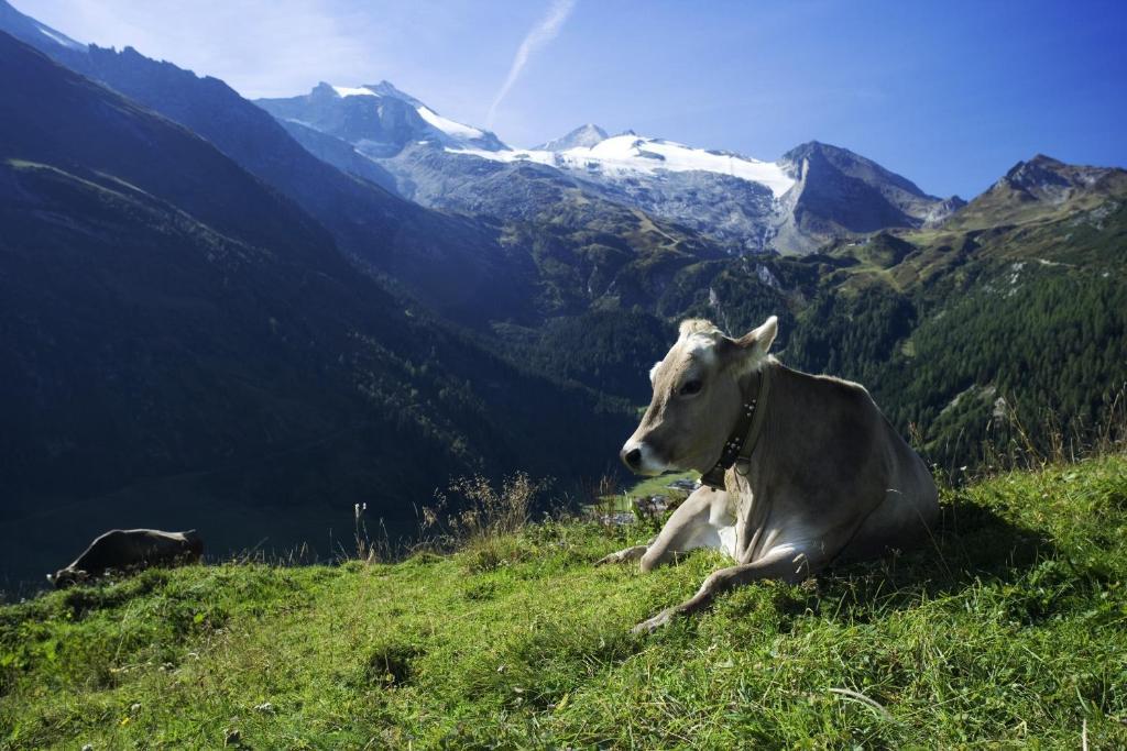 Hotel Brixnerhof Im Zillertal Schlitters Zewnętrze zdjęcie